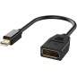 Adattatore Mini DisplayPort su DisplayPort, 4K Risoluzione Convertitore, Nero Adattatore Mini DisplayPort su DisplayPort, 4K Risoluzione Convertitore, Nero