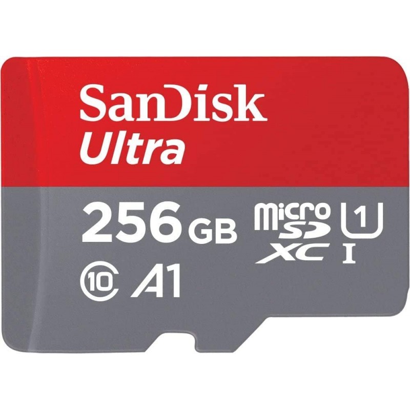 SD Memory Card MICRO 256GB fino a 120 MB/s, prestazioni dell'app A1, Classe 10, U1, 256 GB, Rosso-Grigio