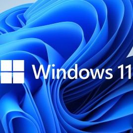 UPGRADE A WINDOWS 11 PROFESSIONAL