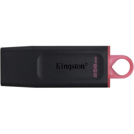 PEN DRIVE Kingston DataTraveler Exodia DTX/256GB Flash Drive USB 3.2 Gen 1 - con cappuccio protettivo e anello portachiavi