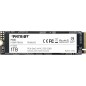 SSD-SOLID STATE Patriot P300 M.2 2280 PCIe gen 3x4 NVMe SSD 1TB Unitá a Stato Solido interno SSD a Basso Consumo - Velocità Let