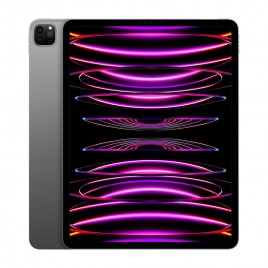iPad Pro 12.9" (USATO) 4a generazione 256 GB - WiFi + 4G - Grigio Siderale