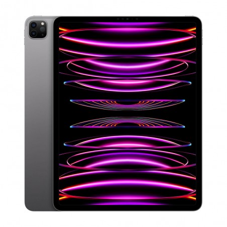 iPad Pro 12.9" (USATO) 4a generazione 256 GB - WiFi + 4G - Grigio Siderale